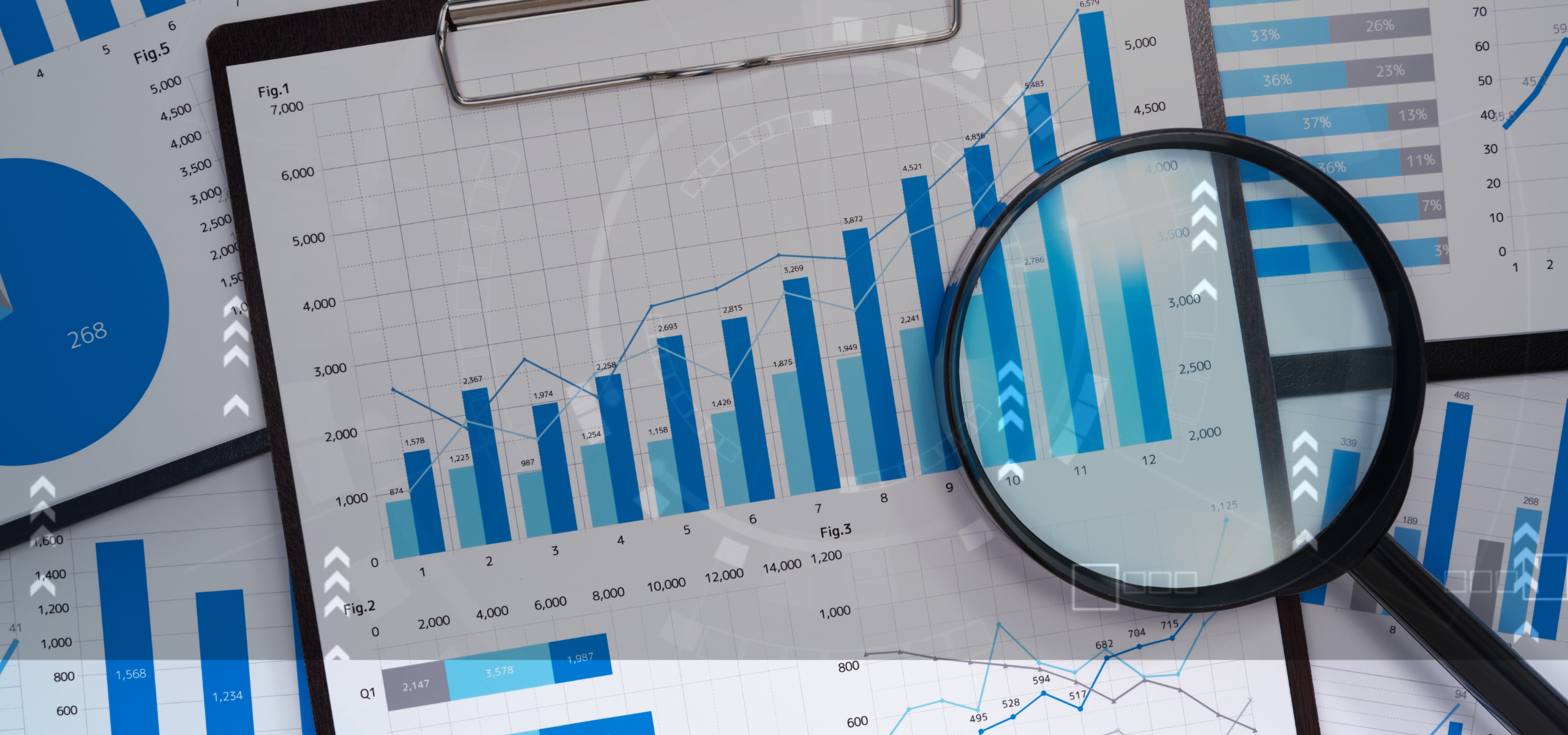 Customer Data