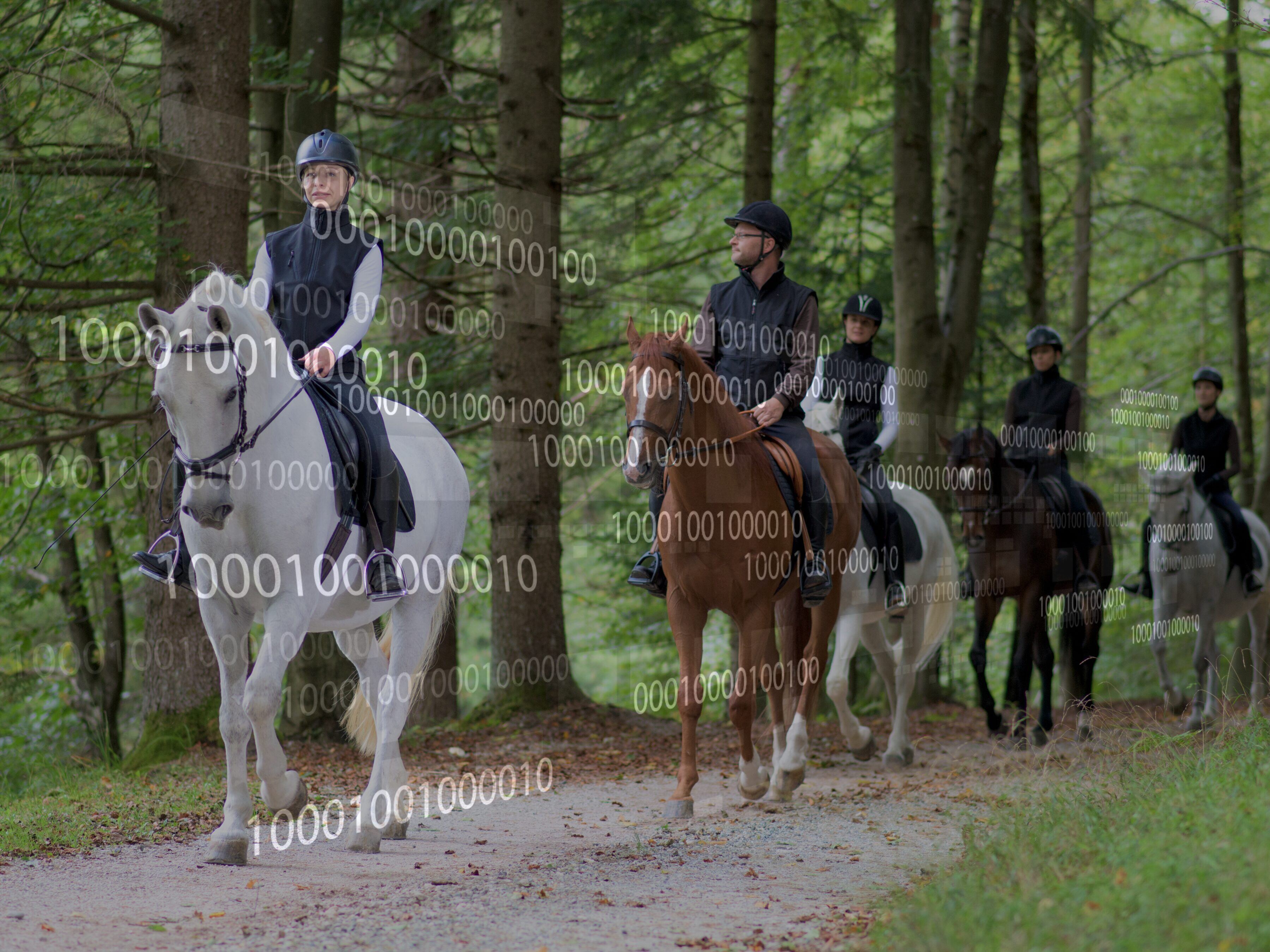 Liability Waiver Voided in Horseback Riding Injury – Is It Time To Spot Check Your Waiver Language?
