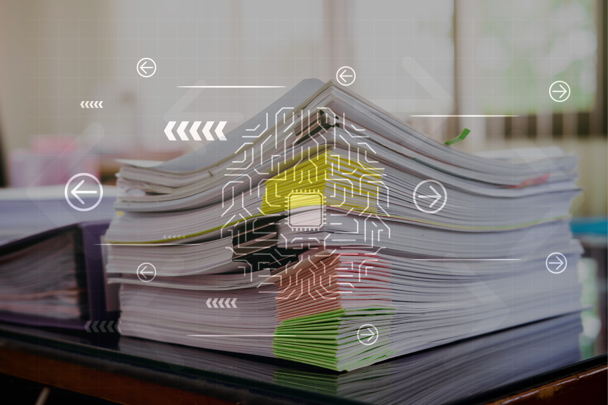 Wherewolf Insights: What Should Your Digital Waiver Include?